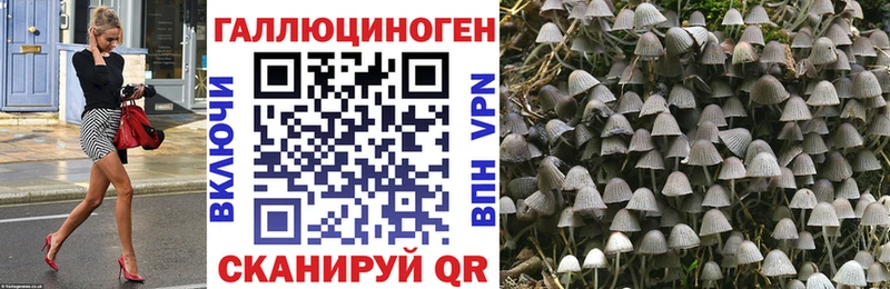 Галлюциногенные грибы Cubensis  Купить  Слюдянка 